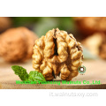 Kernel di noci trasformati dal prezzo di base del prezzo di base